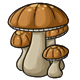 foodenergy_dustymushrooms.png