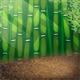 clothing_bambooforestbackground.png