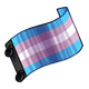 clothing_transgenderprideflag.png