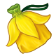 collectable_daffodiltrunk.png