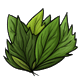 collectable_freshleaves.png