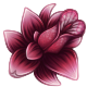collectable_orchid.png