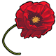 collectable_redpoppy.gif