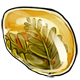 explore_fossilizedplant.png