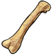 explore_t-rextibia.png