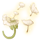 explore_wishingdandelions.png