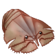 fauna_balmainbug.png