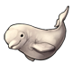 fauna_belugawhale.png