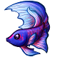 fauna_betta.png