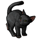 fauna_blackcat.png