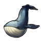 fauna_bluewhale.png