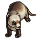 fauna_ferret.png