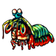 fauna_greenmantisshrimp.png