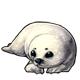 fauna_harpseal.png