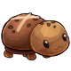 fauna_hotcrossturtle.png