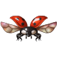 fauna_ladybug.png