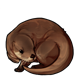 fauna_otter.png