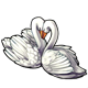 fauna_pairofswans.png