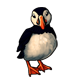 fauna_puffin.png