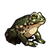 fauna_toad.png