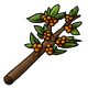 foodenergy_orangeocoberry.png