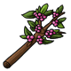 foodenergy_pinkocoberry.png
