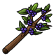 foodenergy_purpleocoberry.png