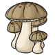 foodhunger_tanmushrooms.png