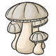 foodhunger_whitemushrooms.png