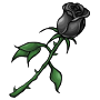 BlackRose.png