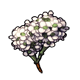 magic_alyssum.png