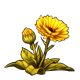 magic_calendula.png