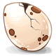 Hatching Teo Egg