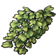 magic_maidenhairfern.png