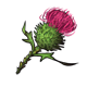 magic_thistle.png