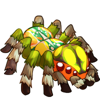 arak_gardenorbweaver.png