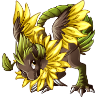 campe_sunflower.png