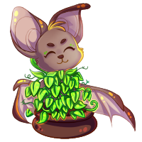 chiro_houseplant.png