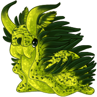 chromo_greenblacknudibranch.png