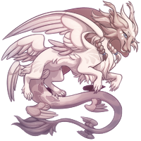 newest user customs