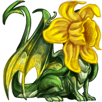 drylis_daffodil.png