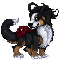 folium_bernesemountaindog.png