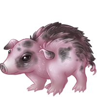 heggal_piggy.png