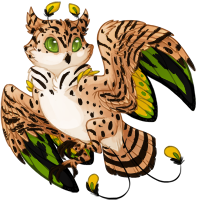 hooti_birdwingserval.png