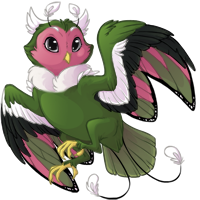 hooti_fruitdove.png