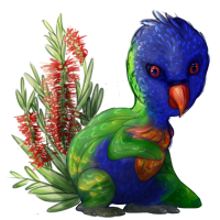 kernal_bottlebrush.png