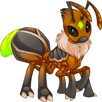 lasius_firefly.png