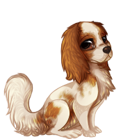 lepu_englishtoyspaniel.png