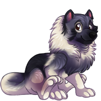 linorm_keeshond.png