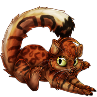 maki_bengalcat.png